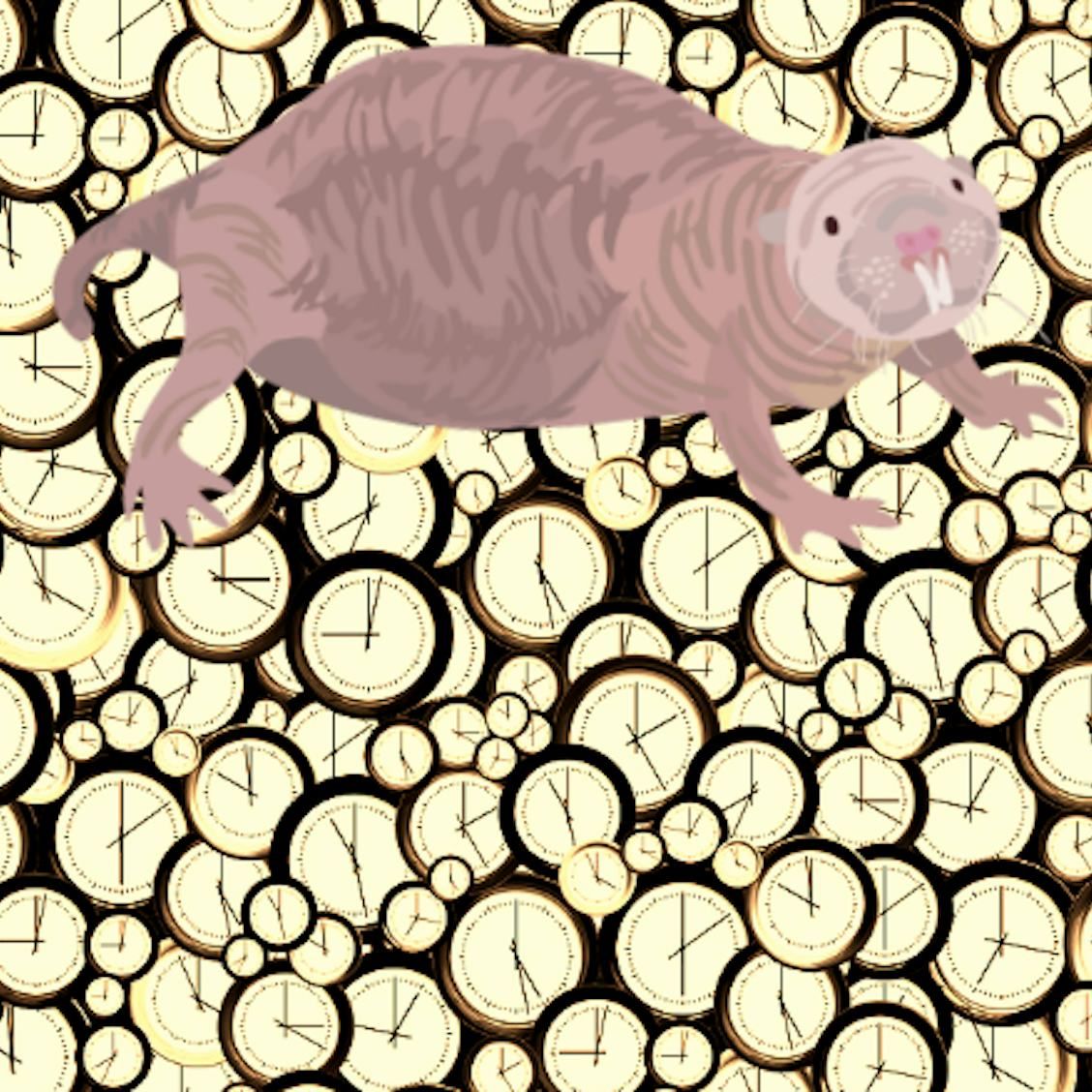 Naked Mole Rat: Immortal Mammal That Feels No Pain