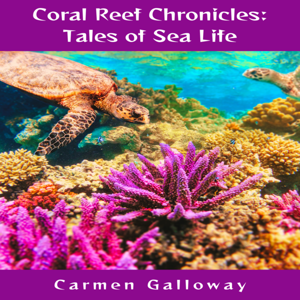 Why Coral Reefs Are Called Ocean Rainforests