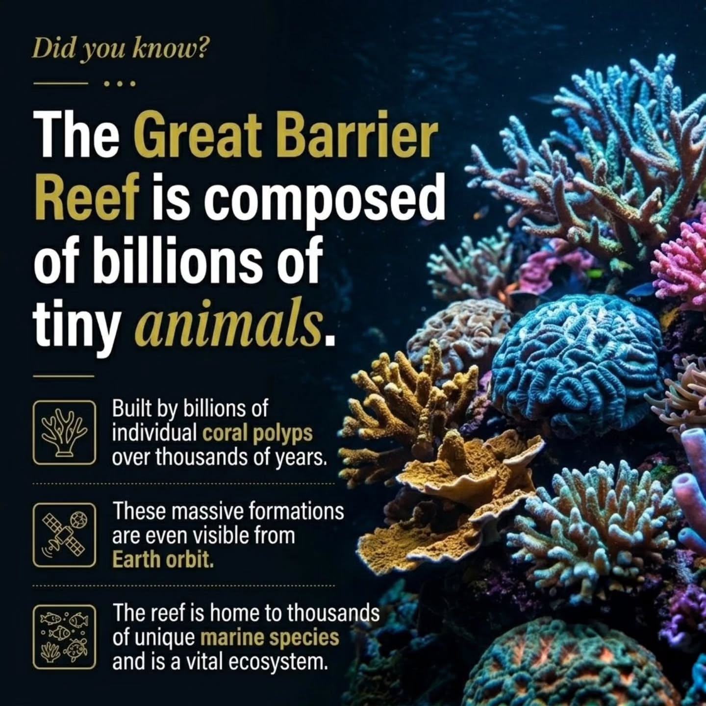 Is the Great Barrier Reef Really Dying?