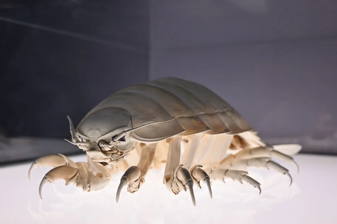 Crustaceans: Diverse and Fascinating