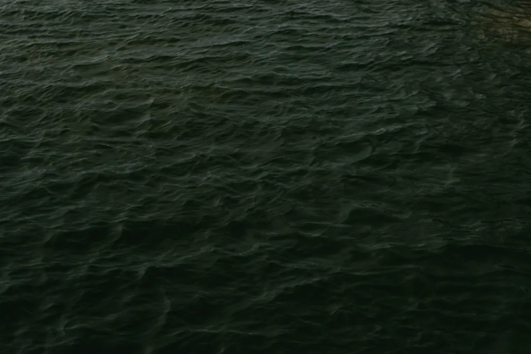 Deep-Sea Creatures: Surviving Total Darkness