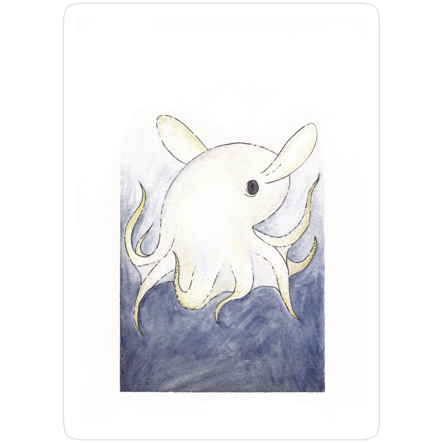 Dumbo Octopus Life in the Deep Sea