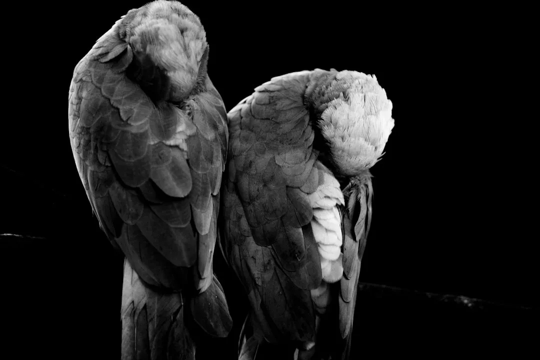 Parrots: The Intelligent Birds and Their Conservation