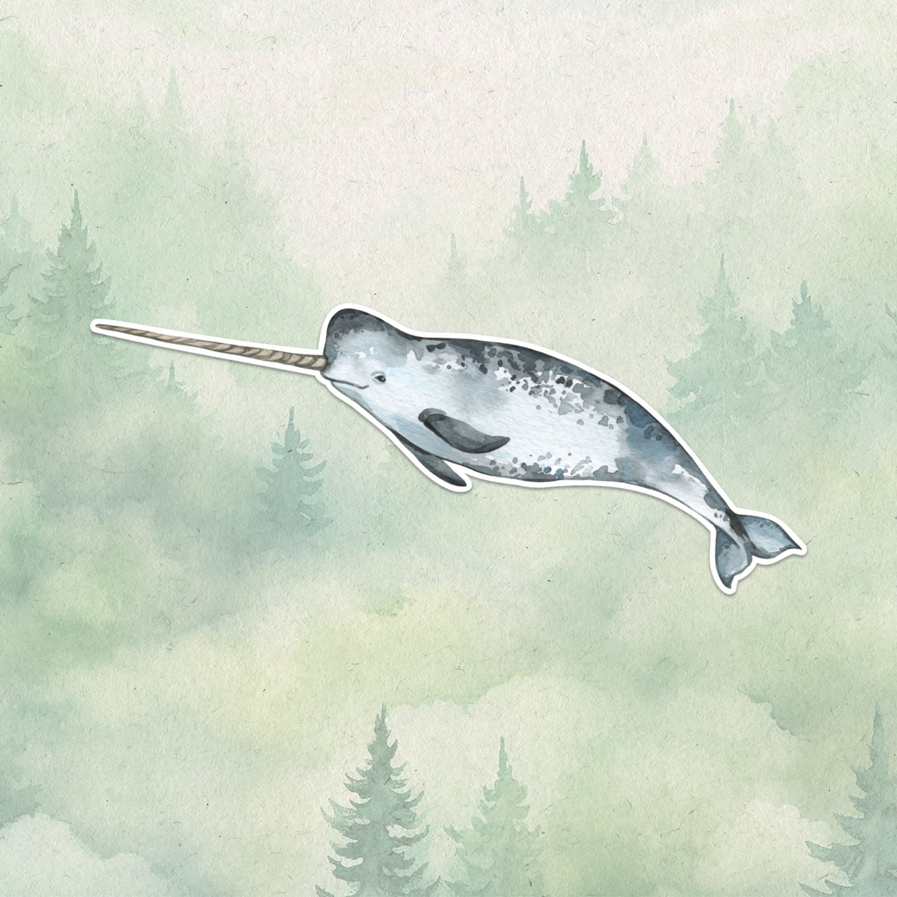 Narwhal: The Unicorn of the Sea and the Mystery of Its Tusk