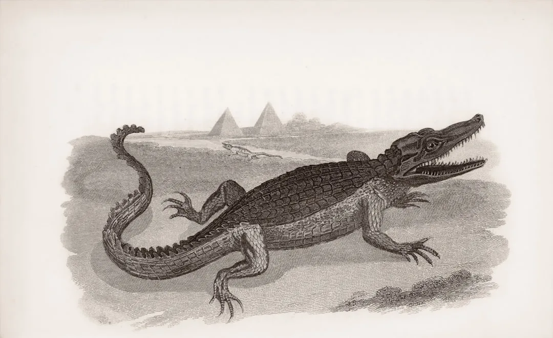 Crocodile vs Alligator: Key Differences