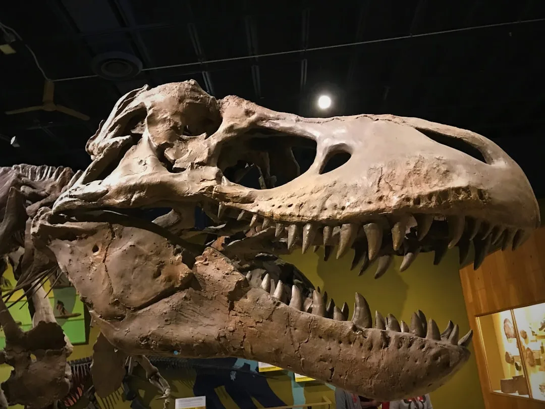 T. Rex: Facts About the Predator