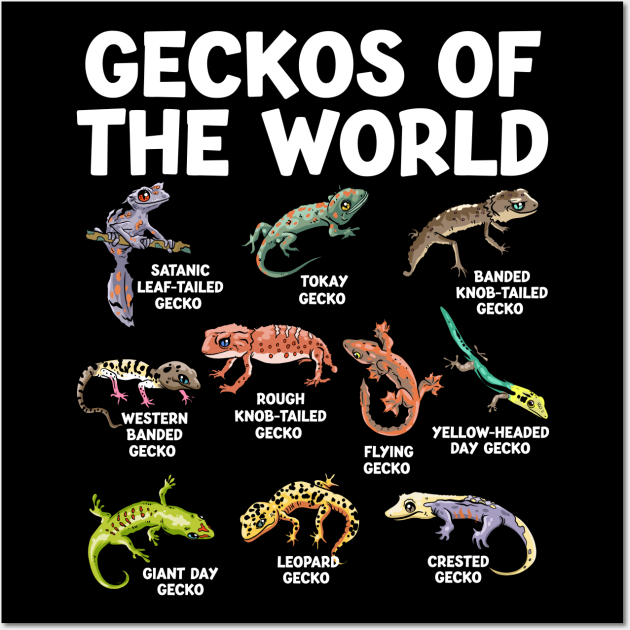 Geckos: Incredible Creatures of the Reptile World