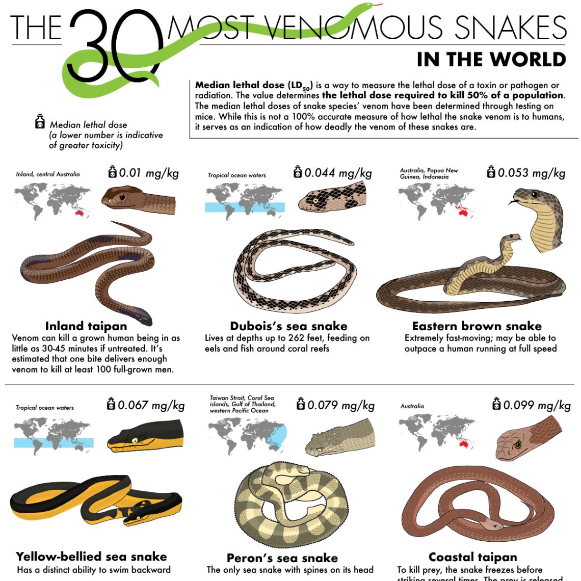 Ranking the Most Venomous Snakes by Toxicity