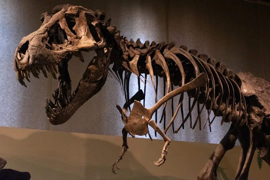 Tyrannosaurus rex: The Most Studied Dinosaur