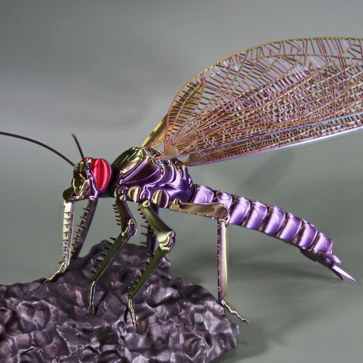Meganeura: The Giant Carboniferous Insect