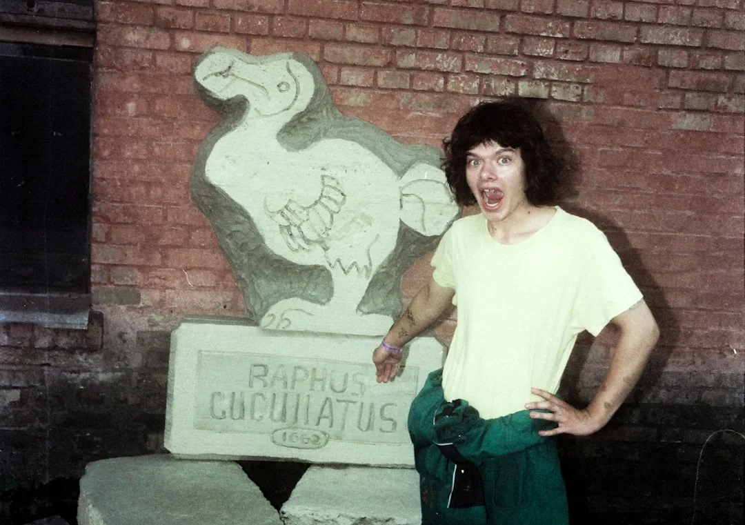 Dodo: The Famous Extinct Bird