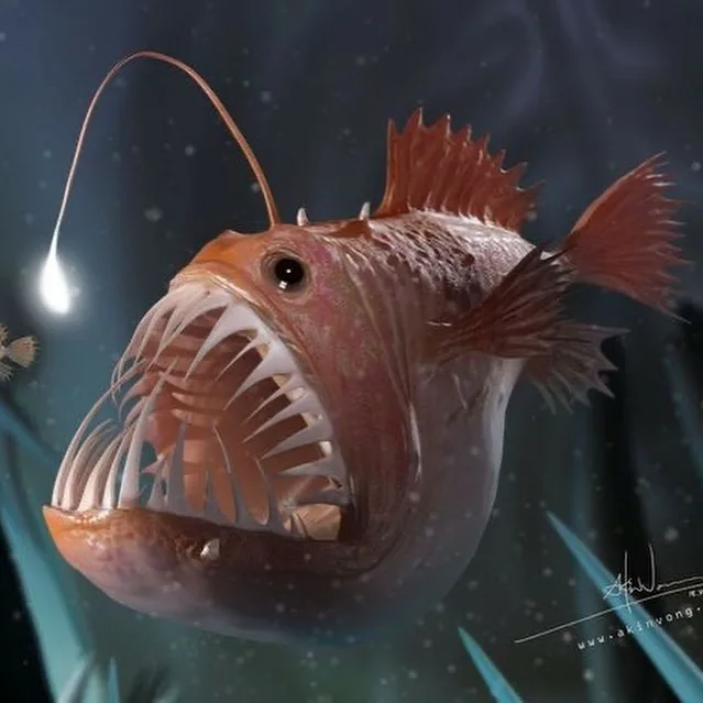 Deep-Sea Anglerfish: Nature's Bizarre Predator