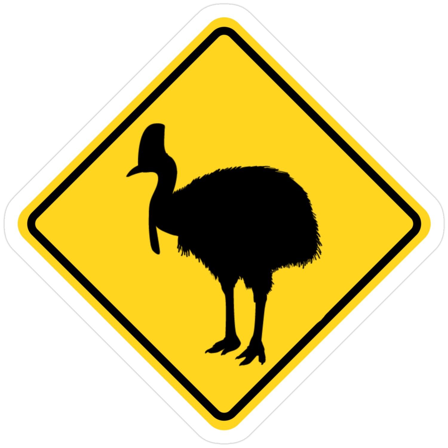 Southern Cassowary: The World's Most Dangerous Bird