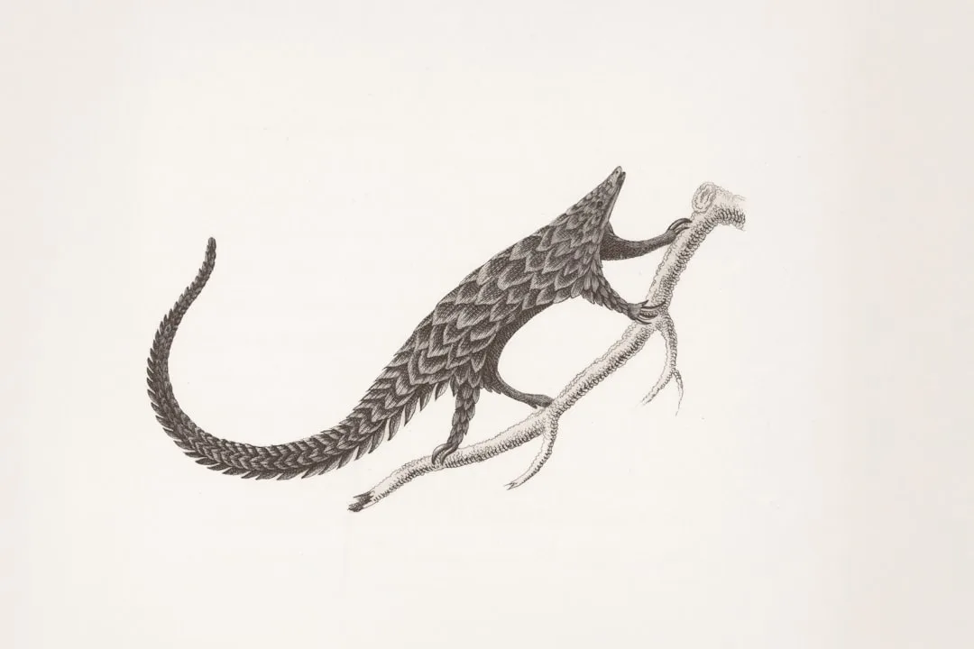 Hallucigenia: An Upside-Down Puzzle