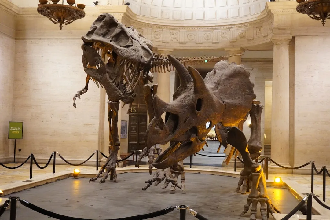 Triceratops: Iconic Ceratopsian of the Cretaceous