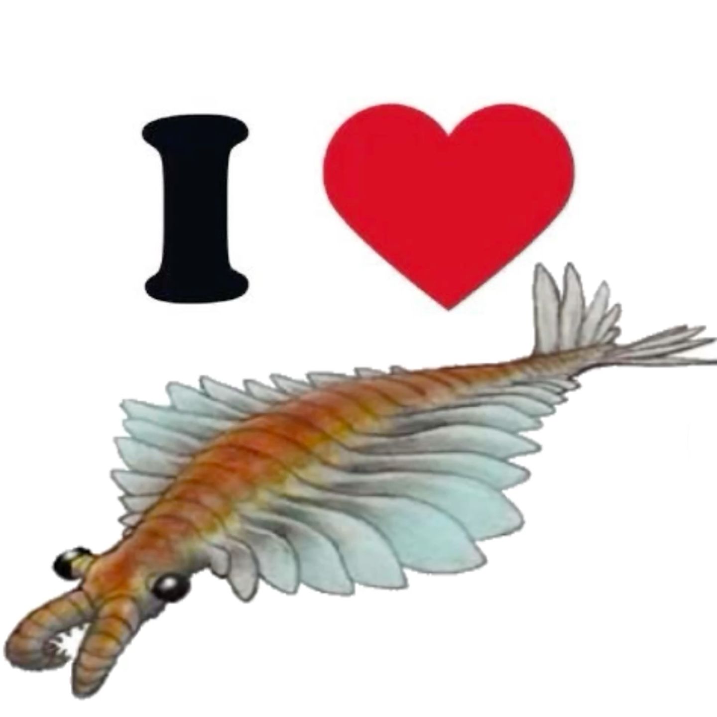 Anomalocaris: Cambrian Apex Predator