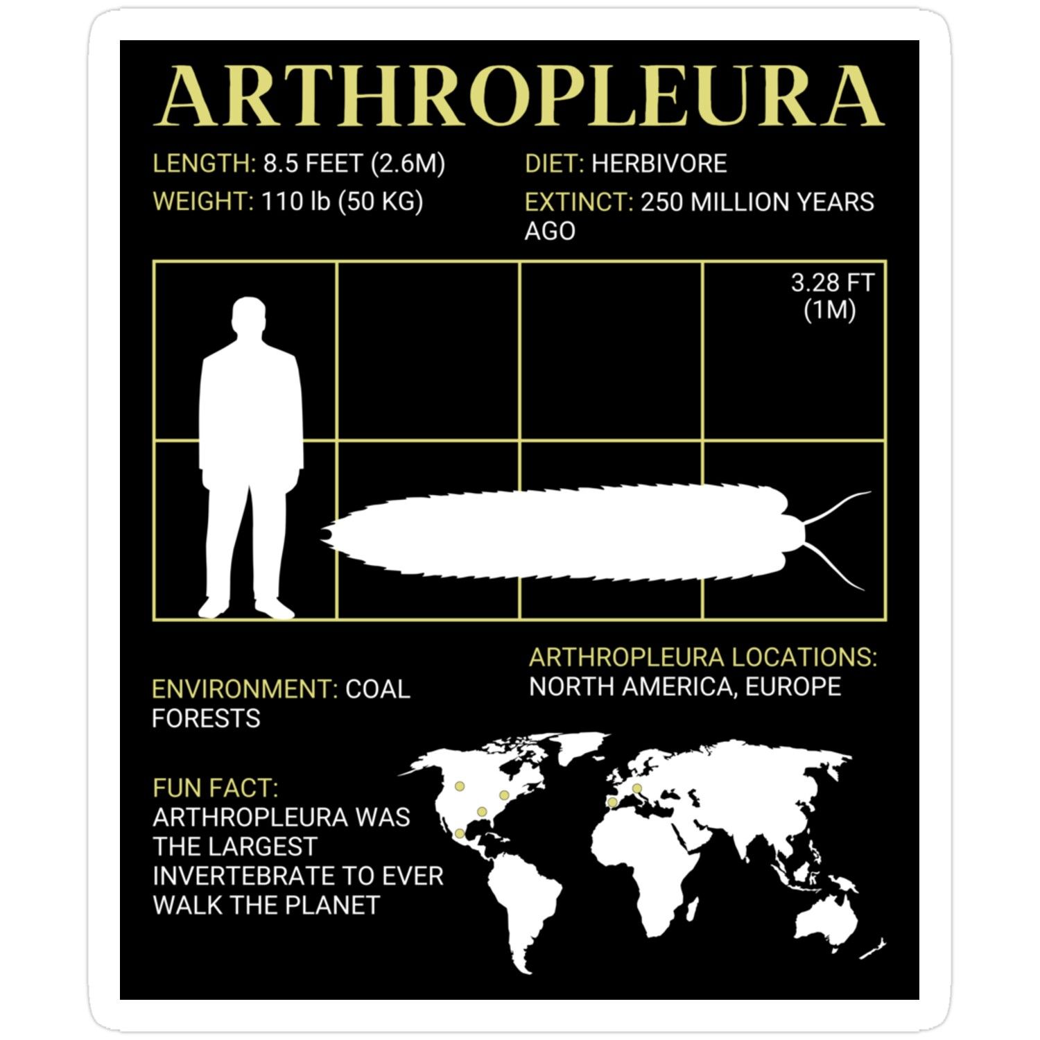 Arthropleura: The Largest Millipede Ever