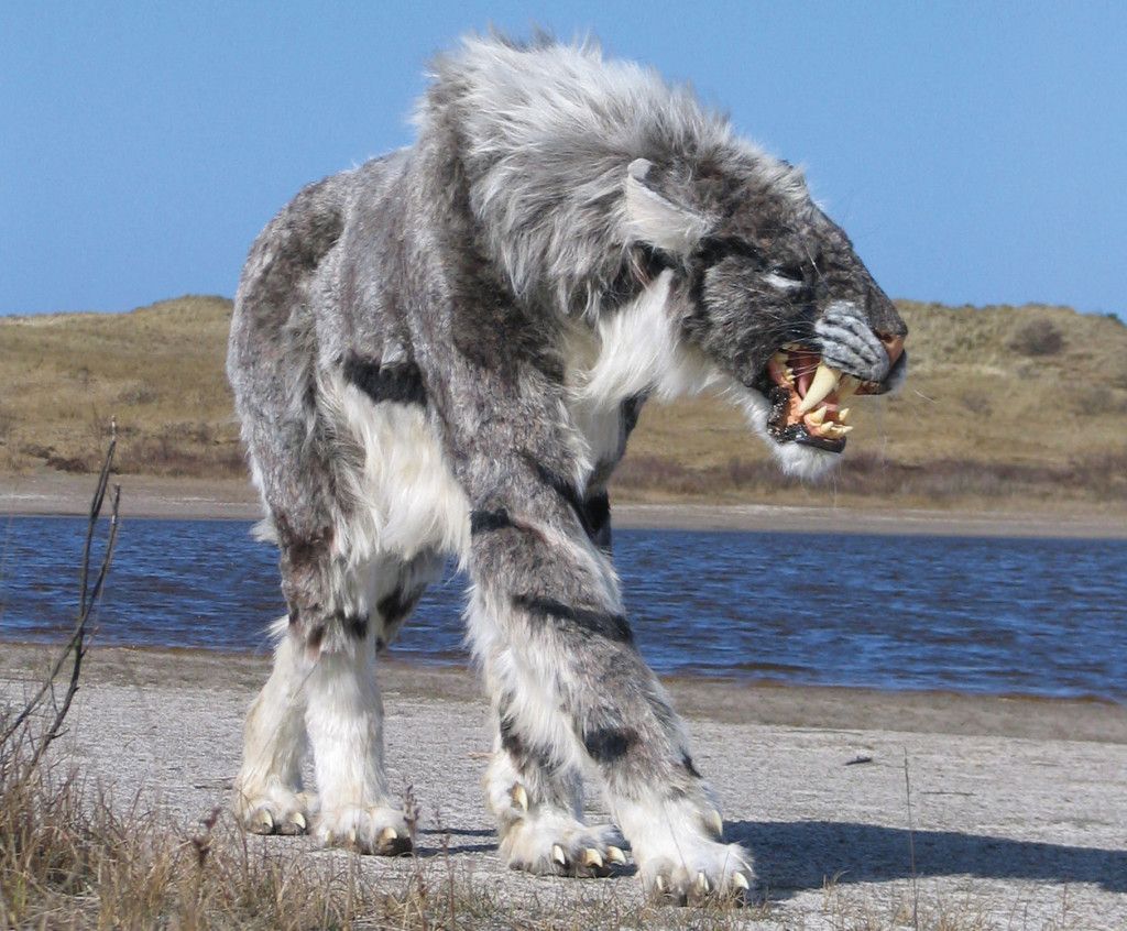 Saber-Tooth Cat: The True Hunting Strategies of Smilodon