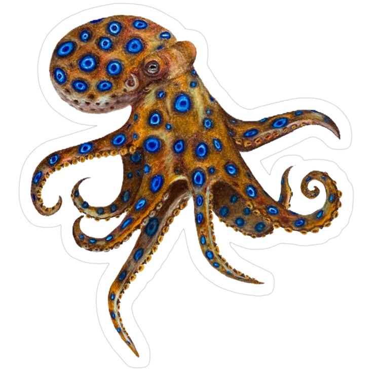 Blue-Ringed Octopus: A Toxic Wonder