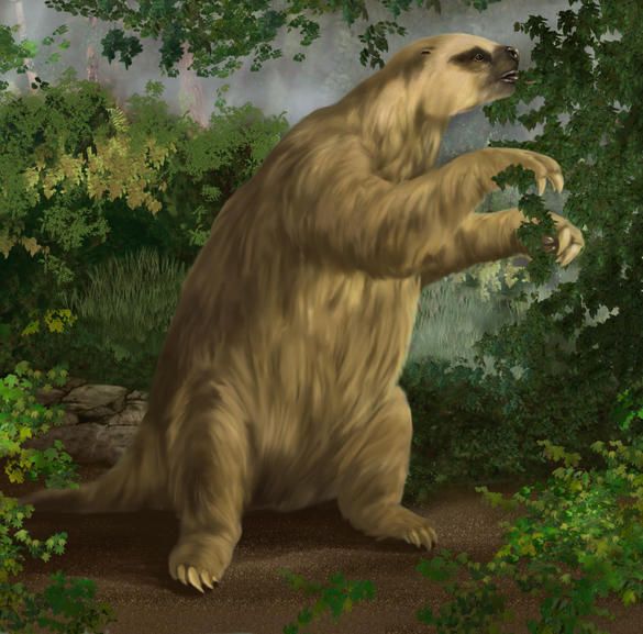 Giant Ground Sloth: The 4-Ton Sloth That Walked the Americas