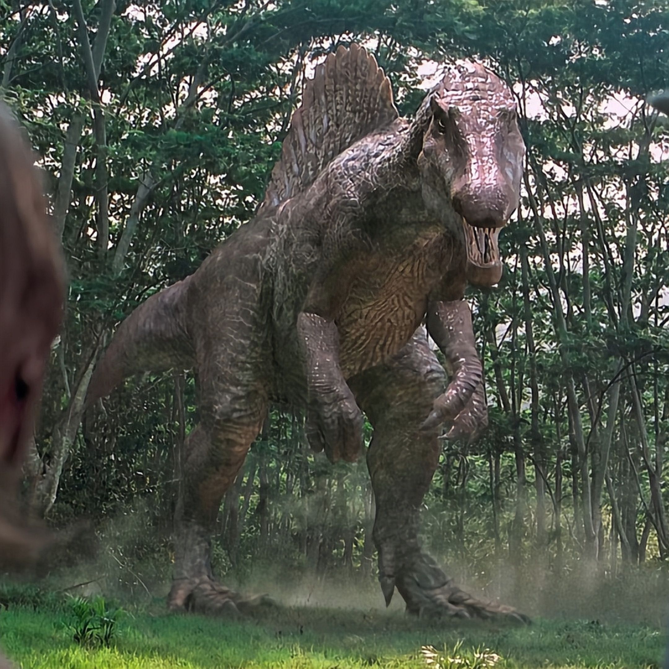 Spinosaurus: The Semi-Aquatic Dinosaur