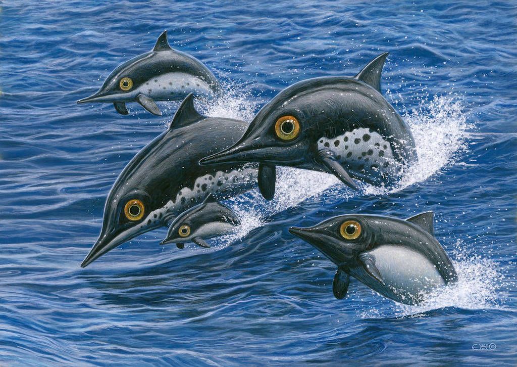 Ichthyosaurs: Ancient Marine Reptiles