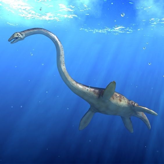 Plesiosaur: Ancient Marine Reptile