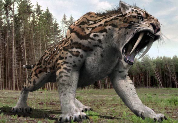 Saber-Toothed Tiger: The Ice Age Predator With 18-cm Teeth