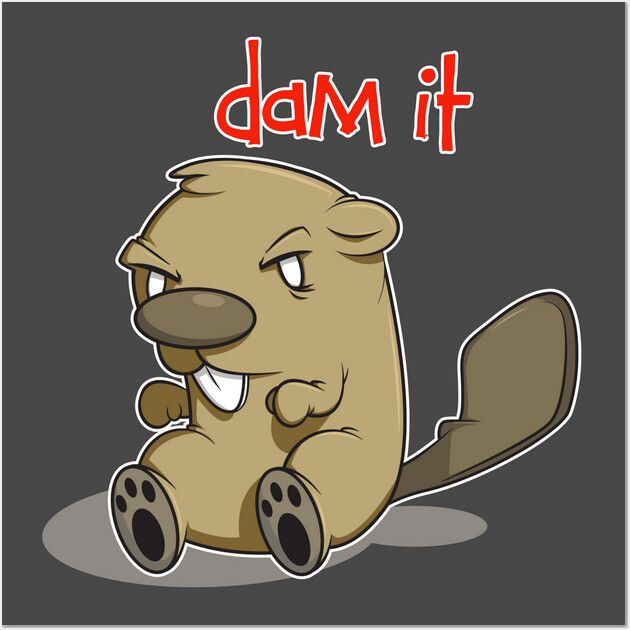 Beaver Dams: The Rodent Engineers Behind 850m Builds