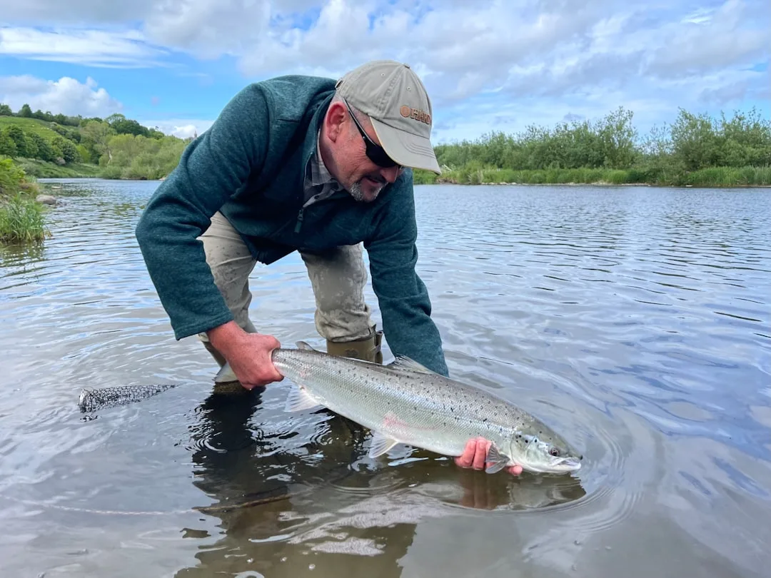 Atlantic Salmon: Wonders of Migration