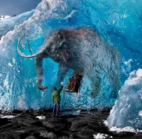 Mammoth Extinction: Climate and Human Impacts
