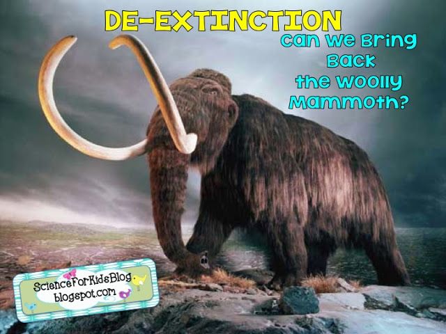 Woolly Mammoth and De-Extinction Science