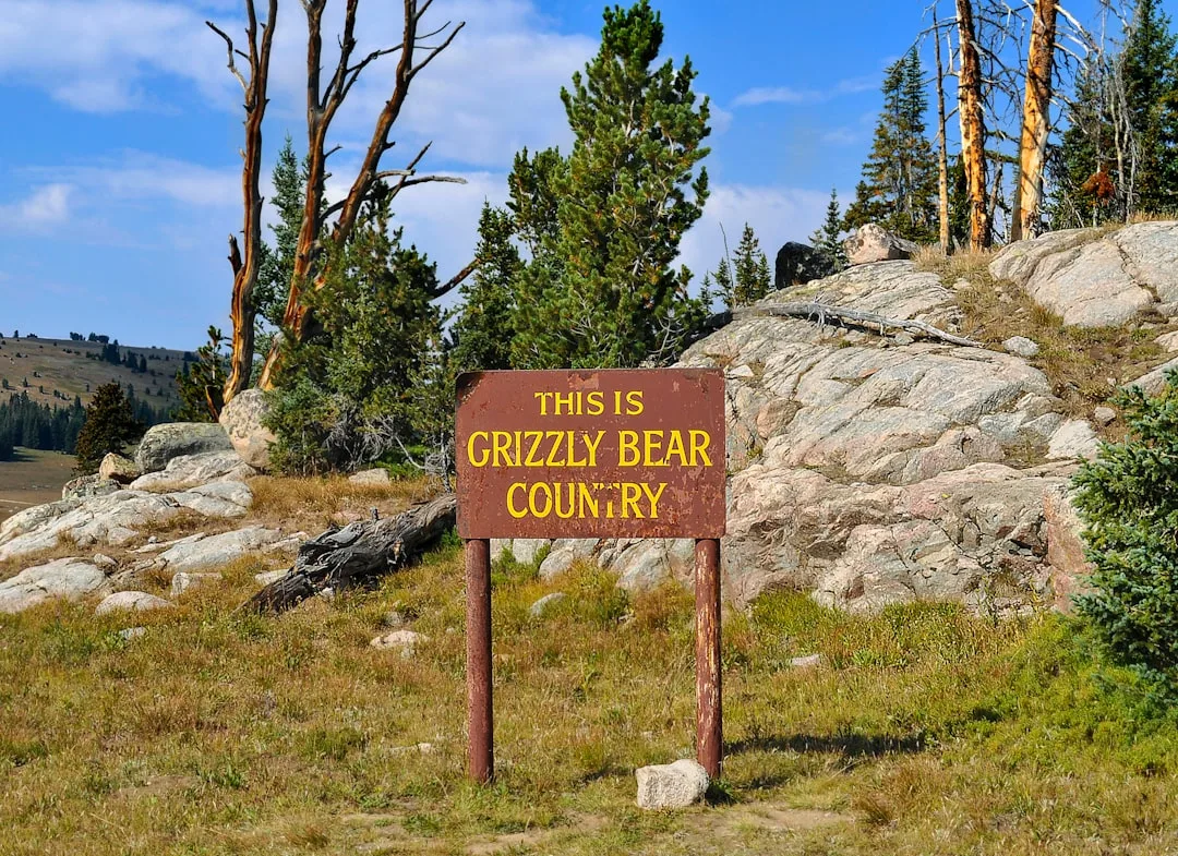 Grizzly Bear Range: Distribution and Recovery Efforts