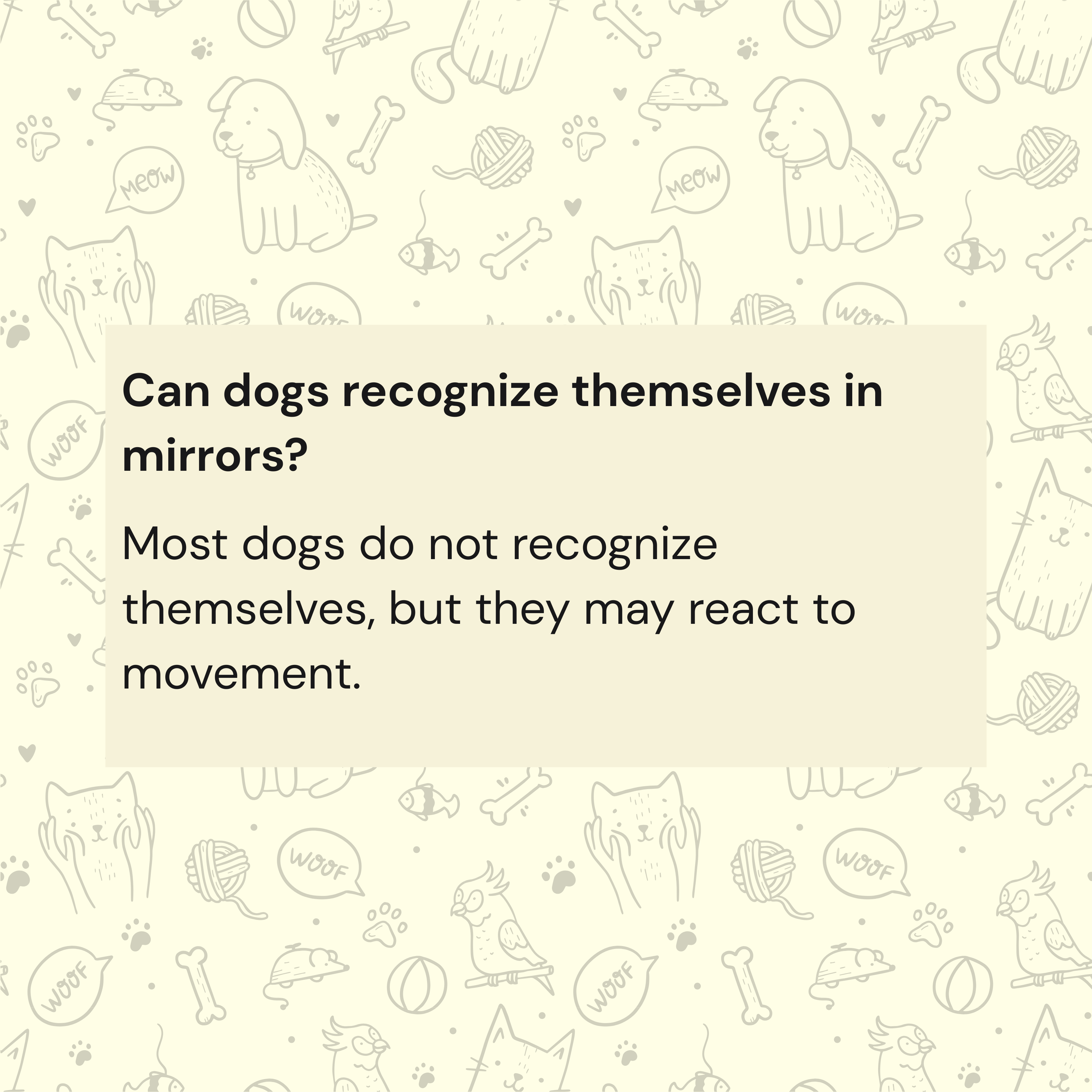 Can Dogs Recognize Themselves in Mirrors? What Science Says