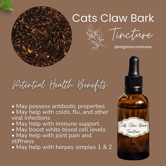 Signs of a Healthy Cat: Health Indicators
