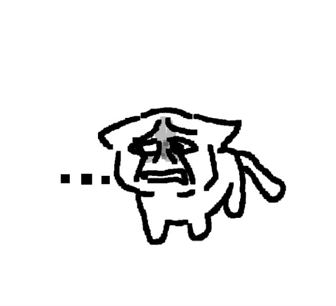 Why Do Cats Stare?