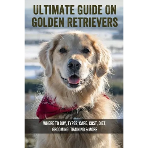 Golden Retrievers