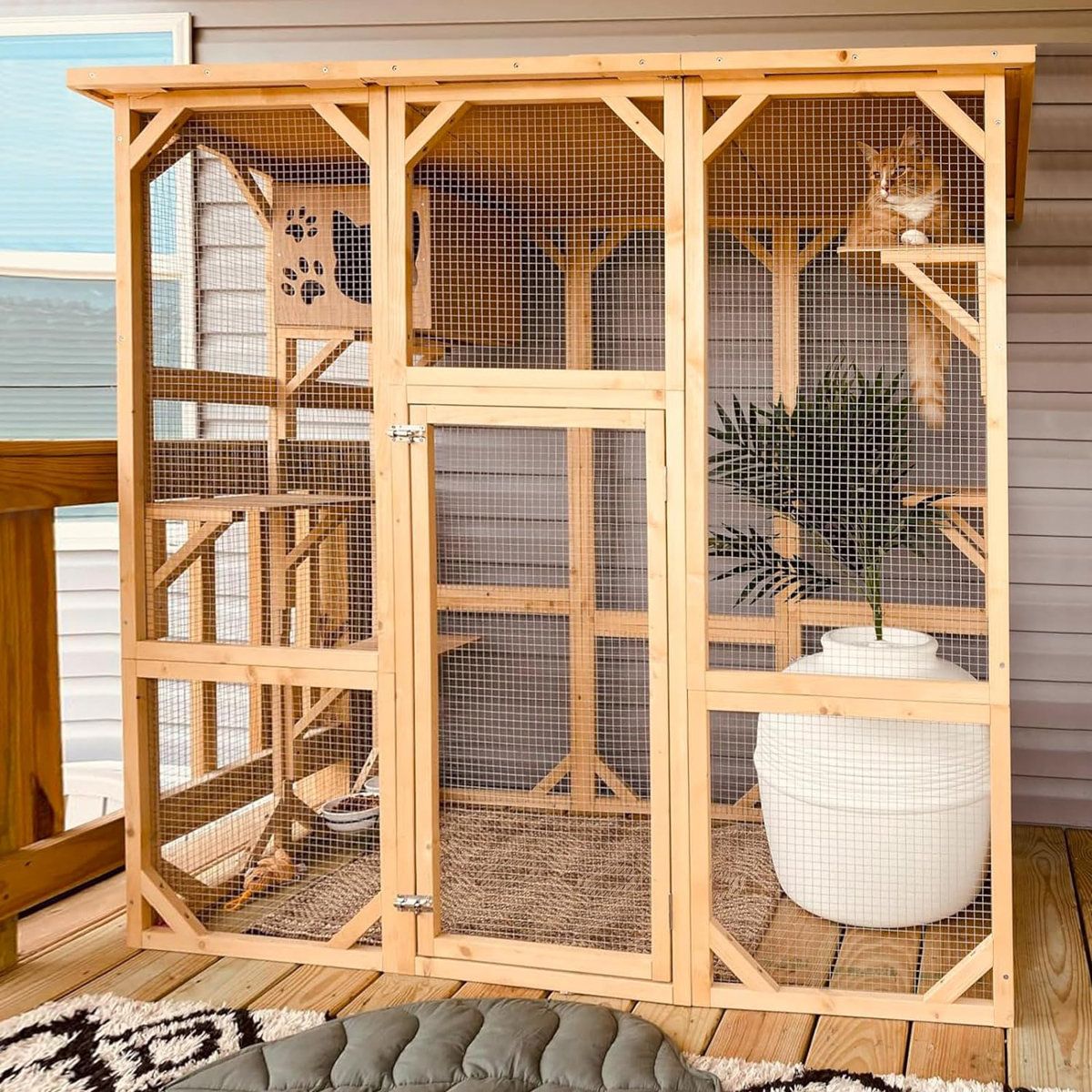 Keeping Your Cat Indoors: Safety and Enrichment Tips
