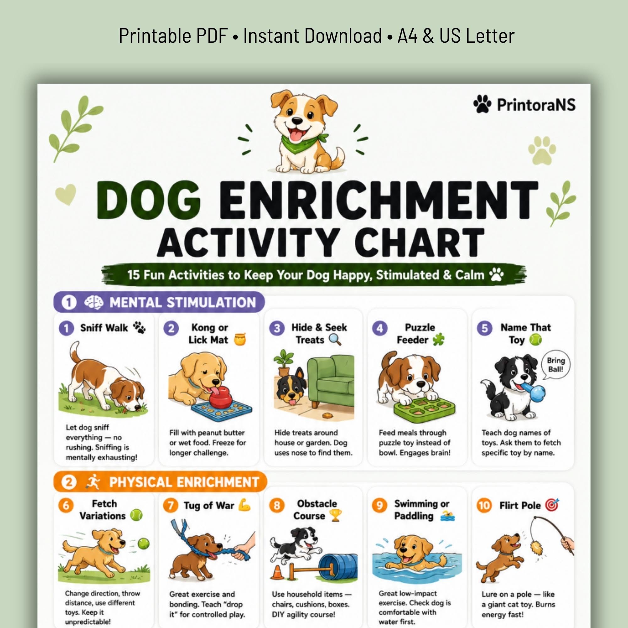 Pet Exercise and Enrichment: Keeping Pets Active
