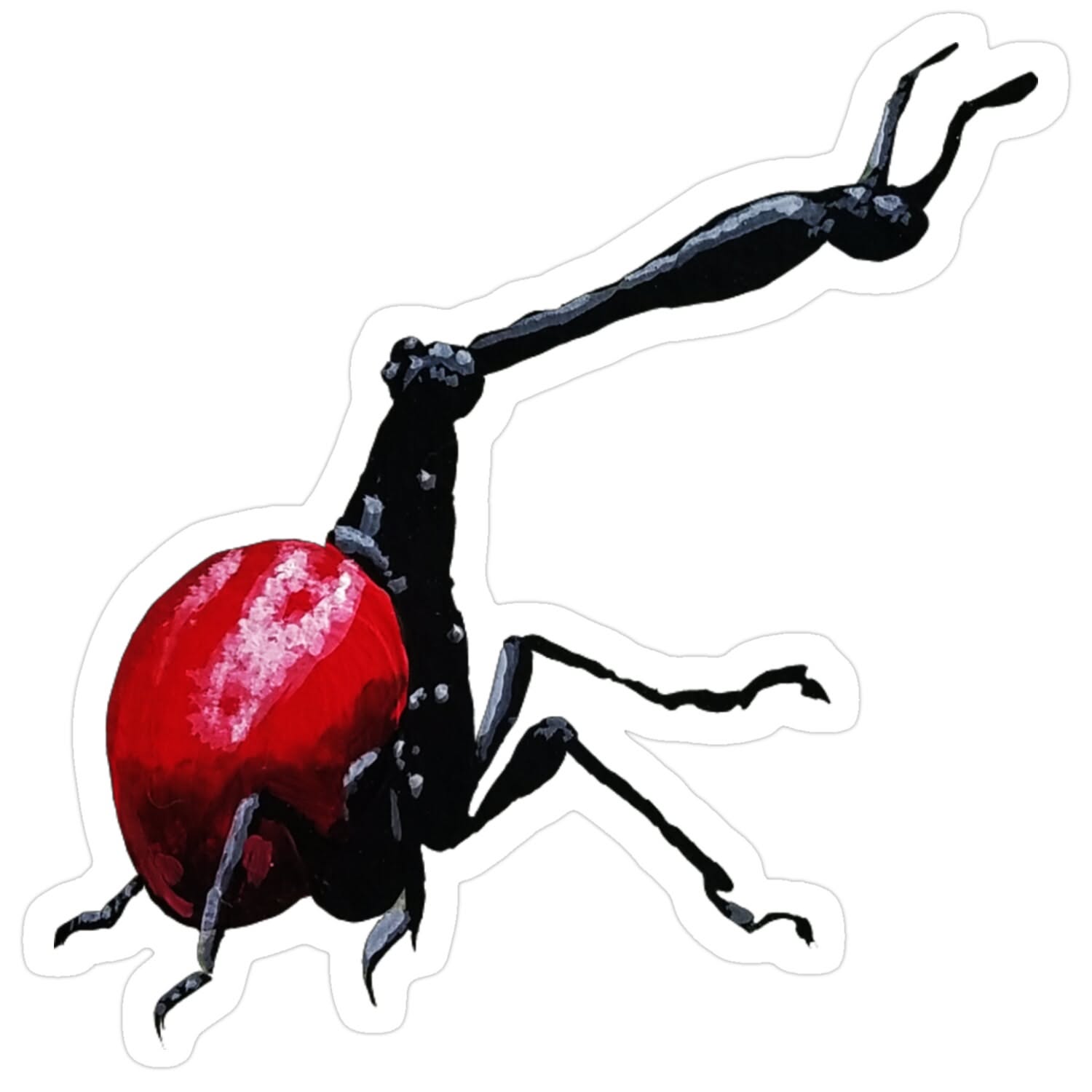 Giraffe Weevil: Madagascar’s Long-Necked Beetle