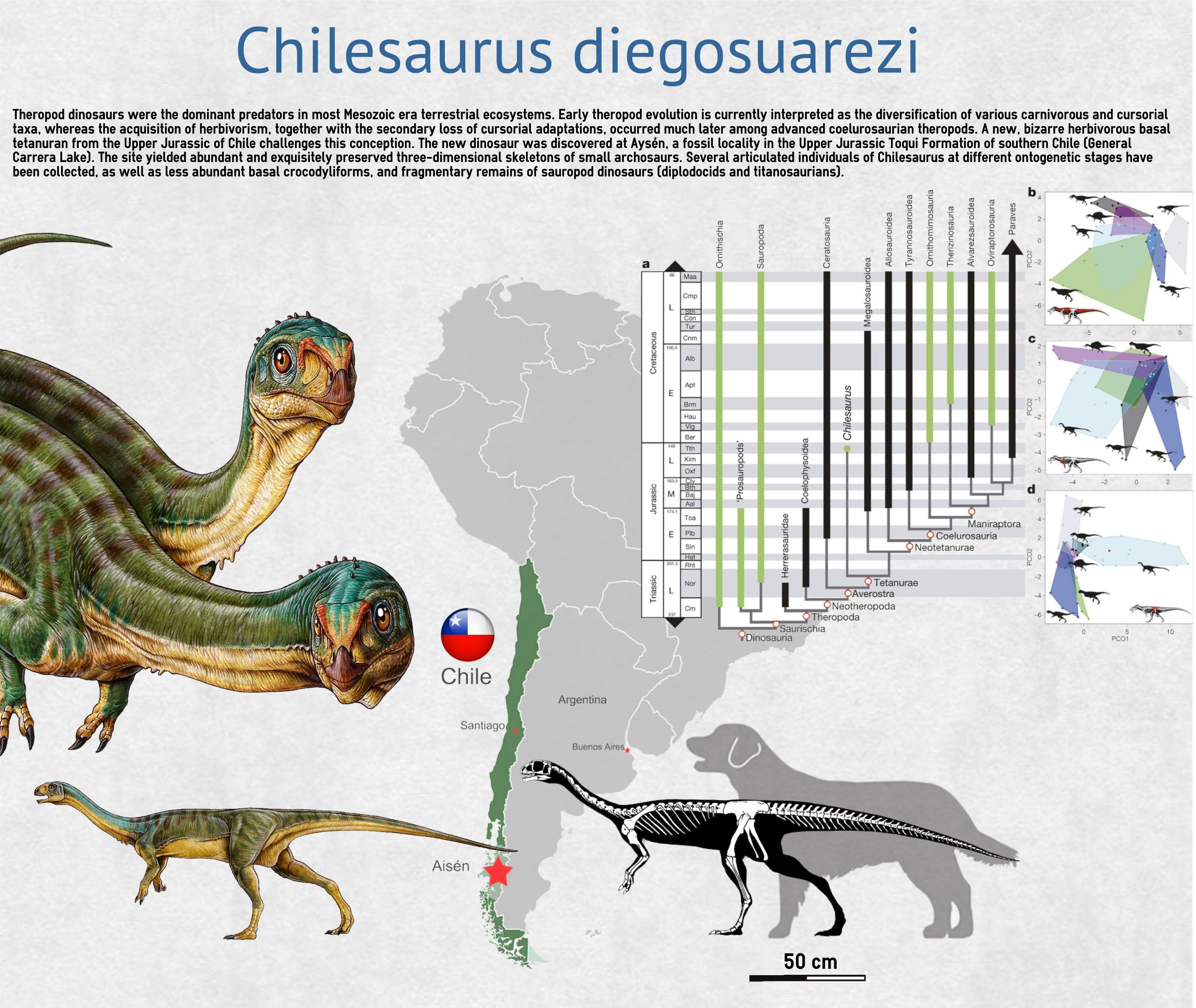 Chilesaurus diegosuarezi: The Platypus of Dinosaurs