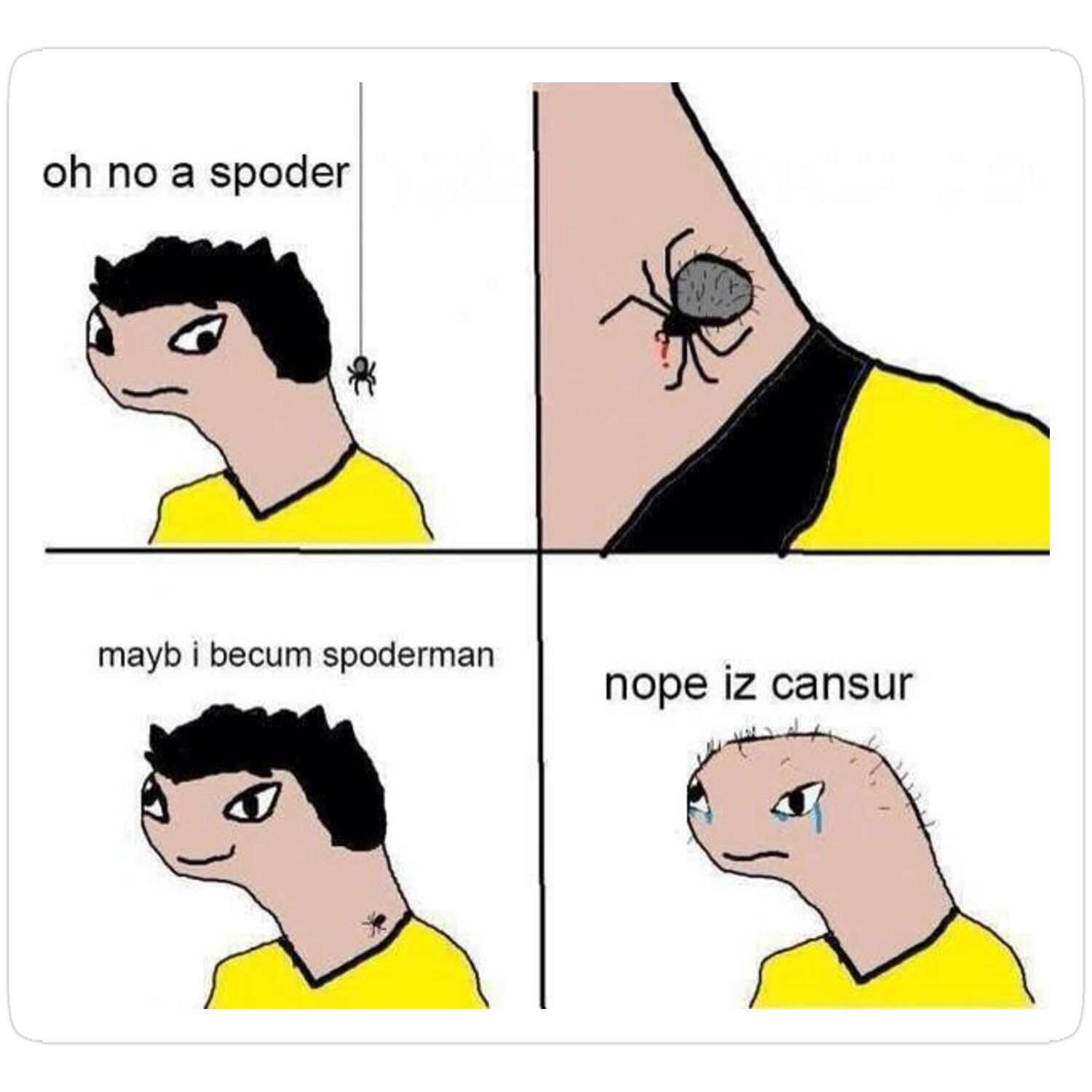 Dangerous Spiders That Pose Real Threats