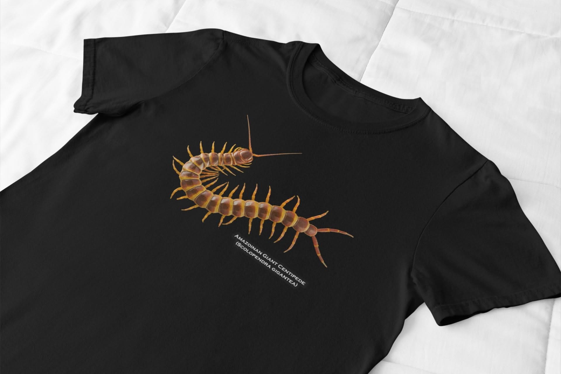 Amazonian Giant Centipede: Largest Venomous Centipede