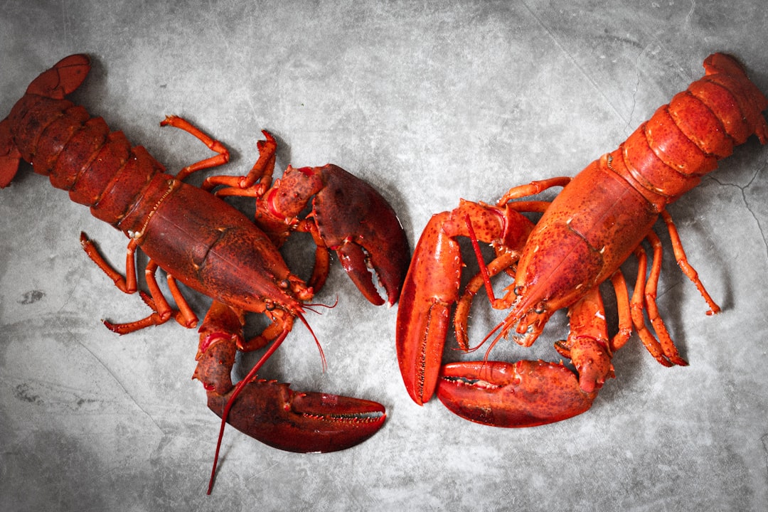 Are Lobsters Immortal? The Truth About Lobster Aging