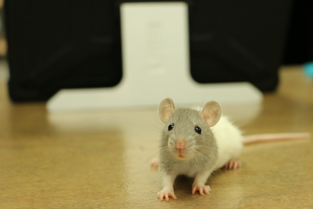 Electroreception in Mammals: Mechanisms and Evolution
