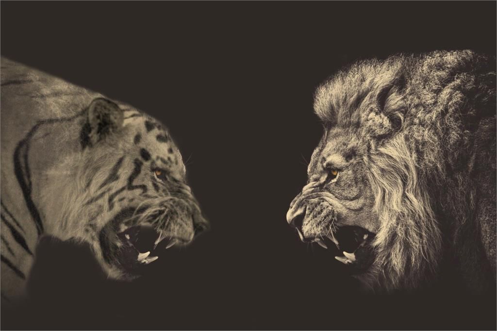 Lion vs Tiger: A Scientific Battle Comparison