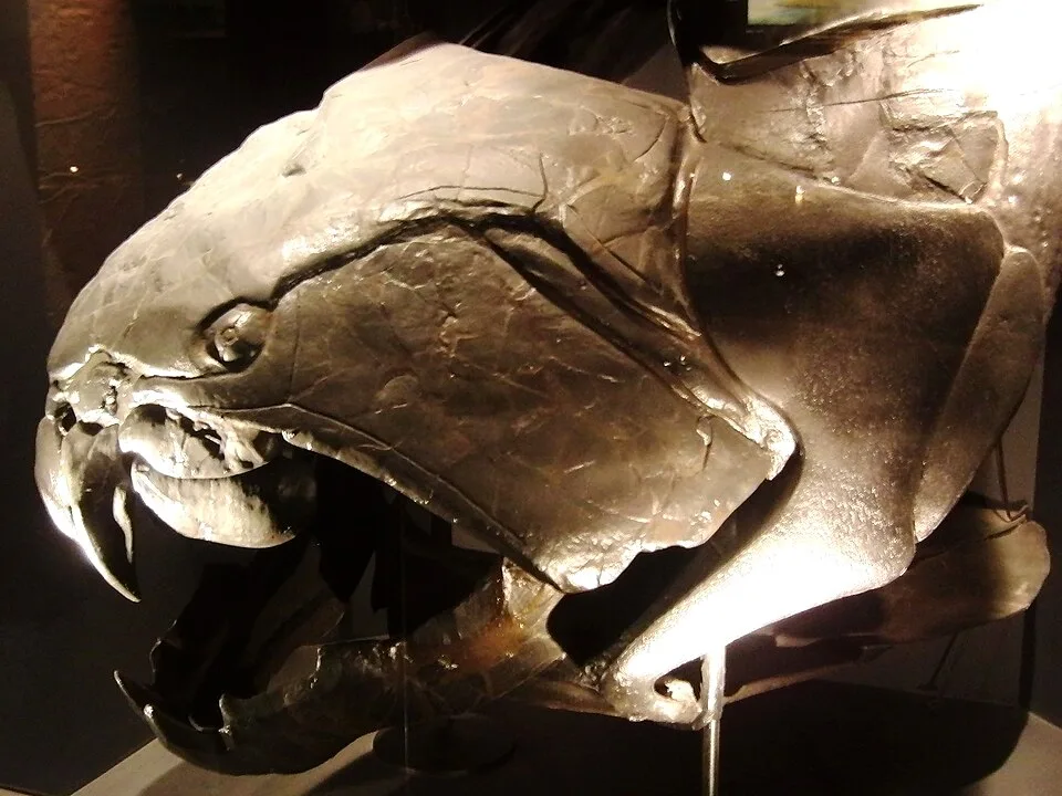 Prehistoric Marine Life: Oceanic Predators